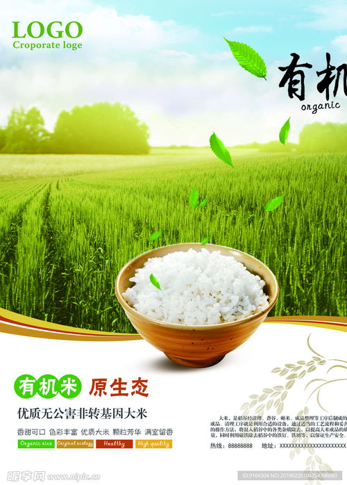 有机米原生态非转基因绿色食品LOGO设计方案——非食用农产品初加工方向的视觉传达