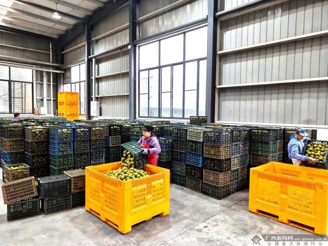 广西农产品资源丰富,该怎么补齐深加工短板?