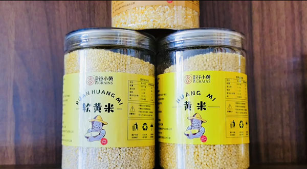 陕西府谷:粒粒&ldquo;黄金米&rdquo;藏着&ldquo;致富经&rdquo;