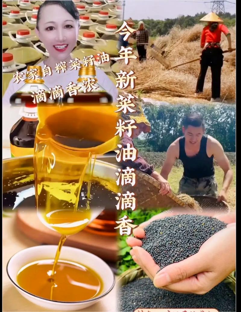 压榨菜籽油.今年新菜籽油,曰期新鲜,农产品自榨非转基因食用油