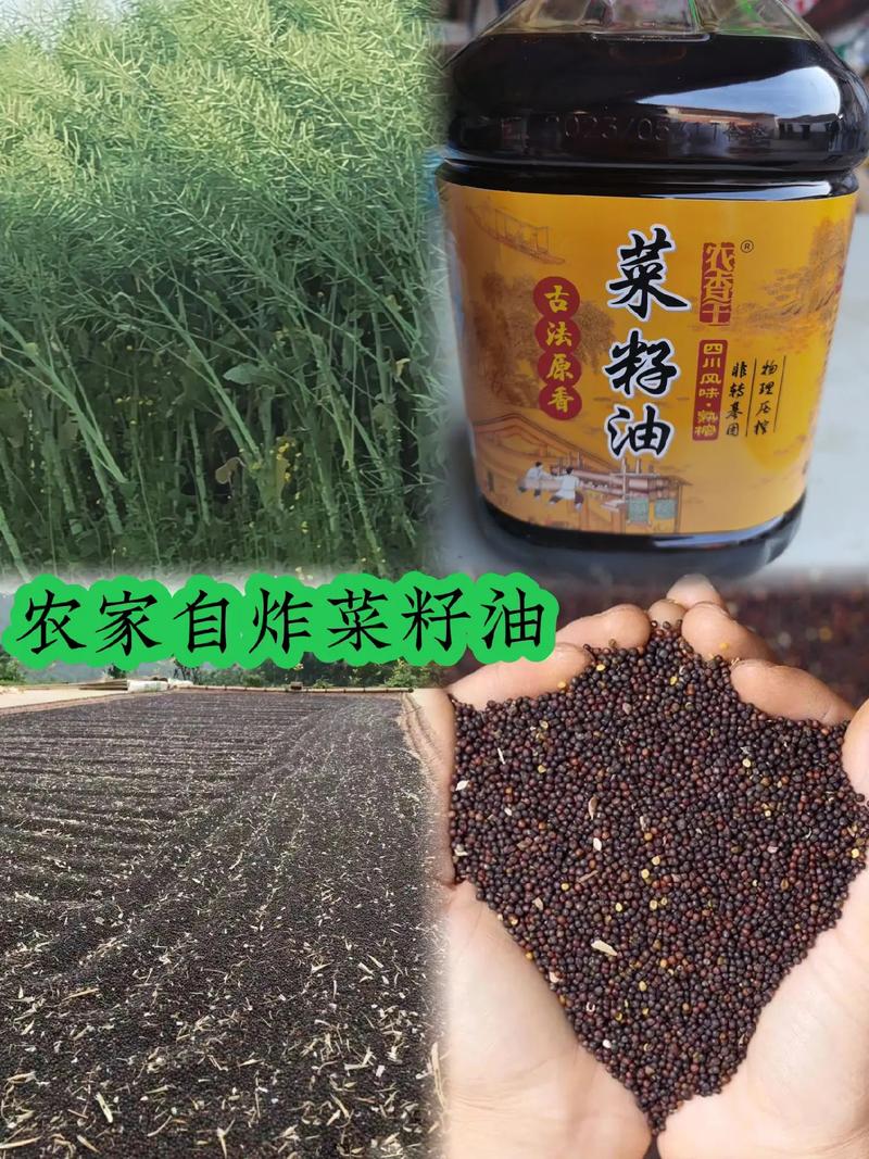 老油坊里的烟火人间，一滴菜籽油的乡土记忆