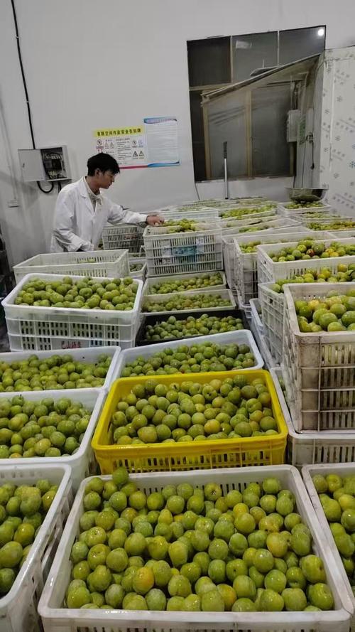 农产品加工研究所_院加工所科技人员赴万源开展技术